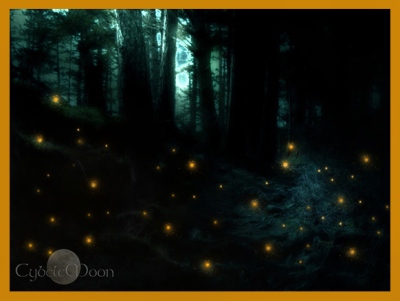 night of the fireflies