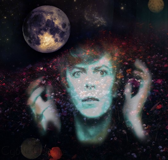 bowie space